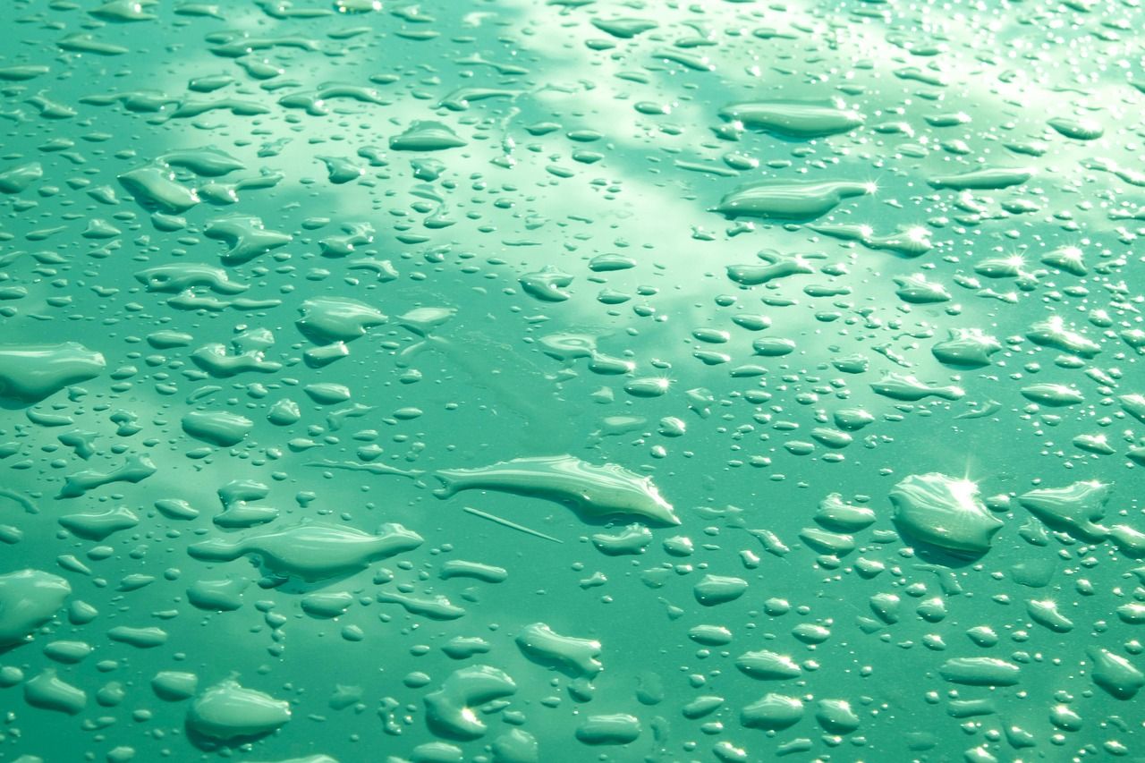 entdecken sie alles rund um wasser – von seinen eigenschaften über die bedeutung für die gesundheit bis hin zu spannenden fakten und tipps für den täglichen gebrauch. jetzt mehr über wasser erfahren!