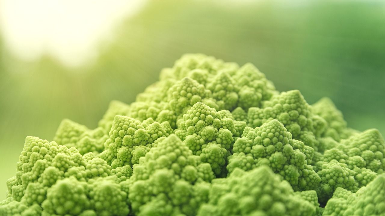 entdecken sie die neuesten trends und innovationen im food-tech-bereich. erfahren sie, wie technologie die lebensmittelindustrie revolutioniert und nachhaltige lösungen für die ernährung der zukunft bietet.