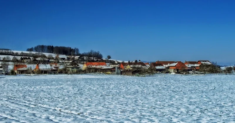 Forelle blau im Backofen – geht das überhaupt?