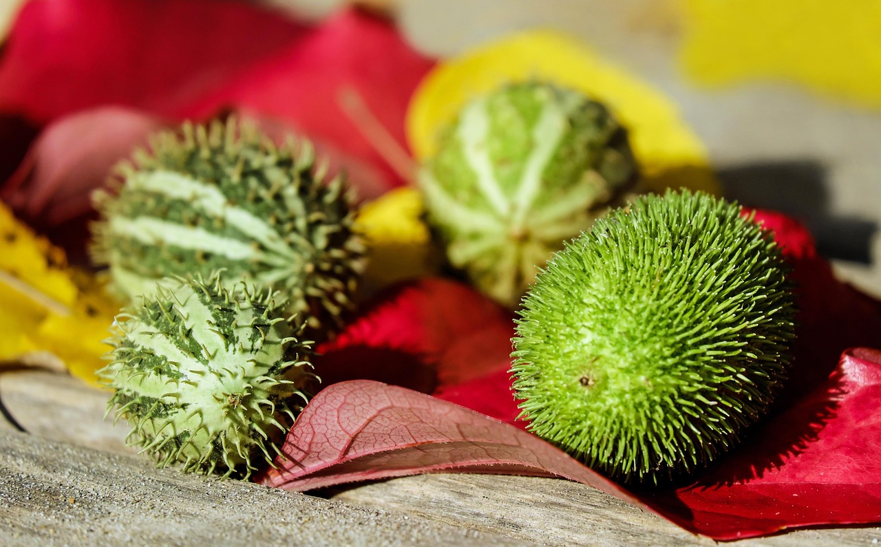 aktuelle informationen und nachrichten auf einen blick – bleiben sie informiert über die wichtigsten ereignisse weltweit mit unserem umfangreichen news-portal.